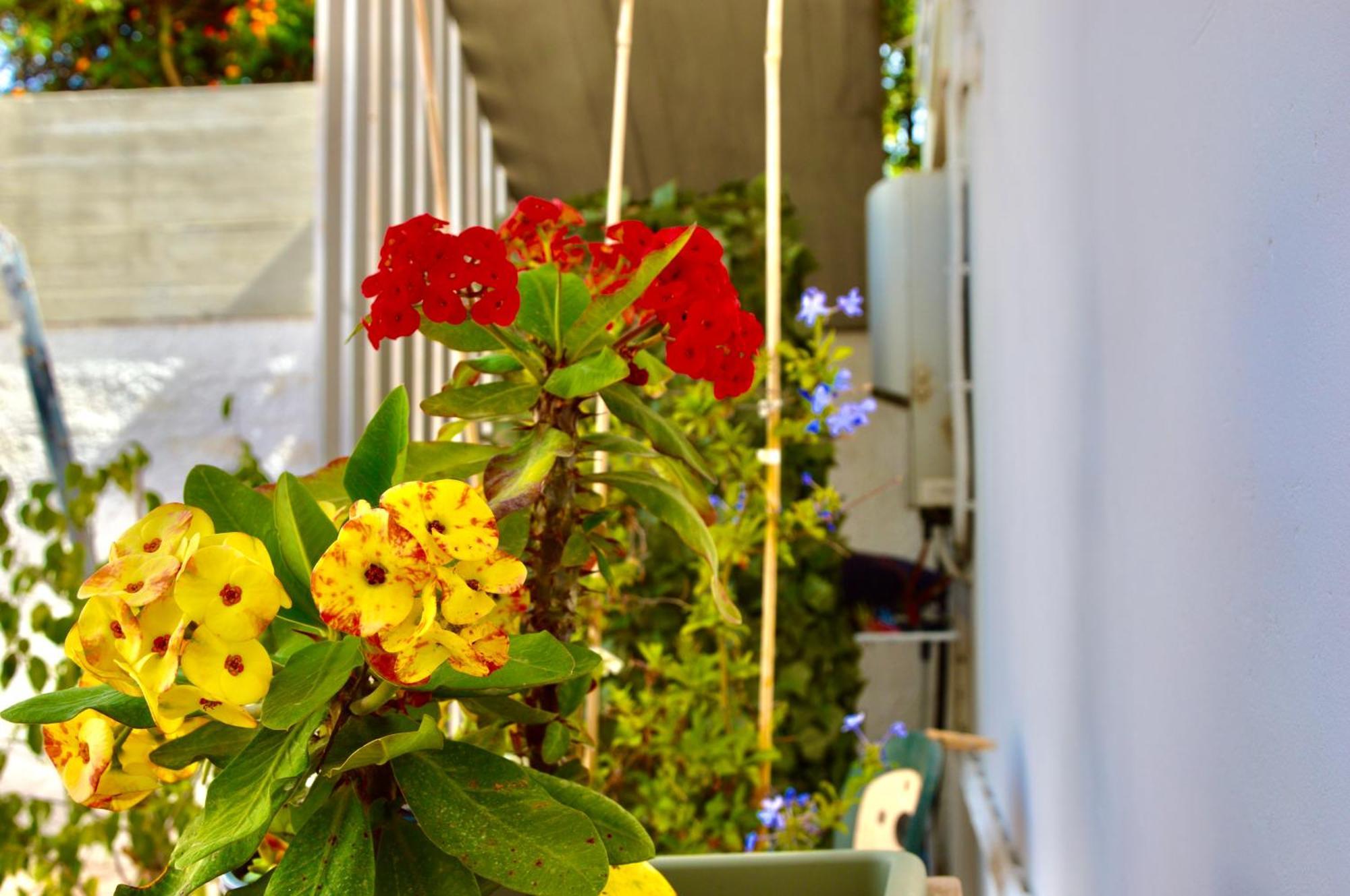 Casamia Holiday home